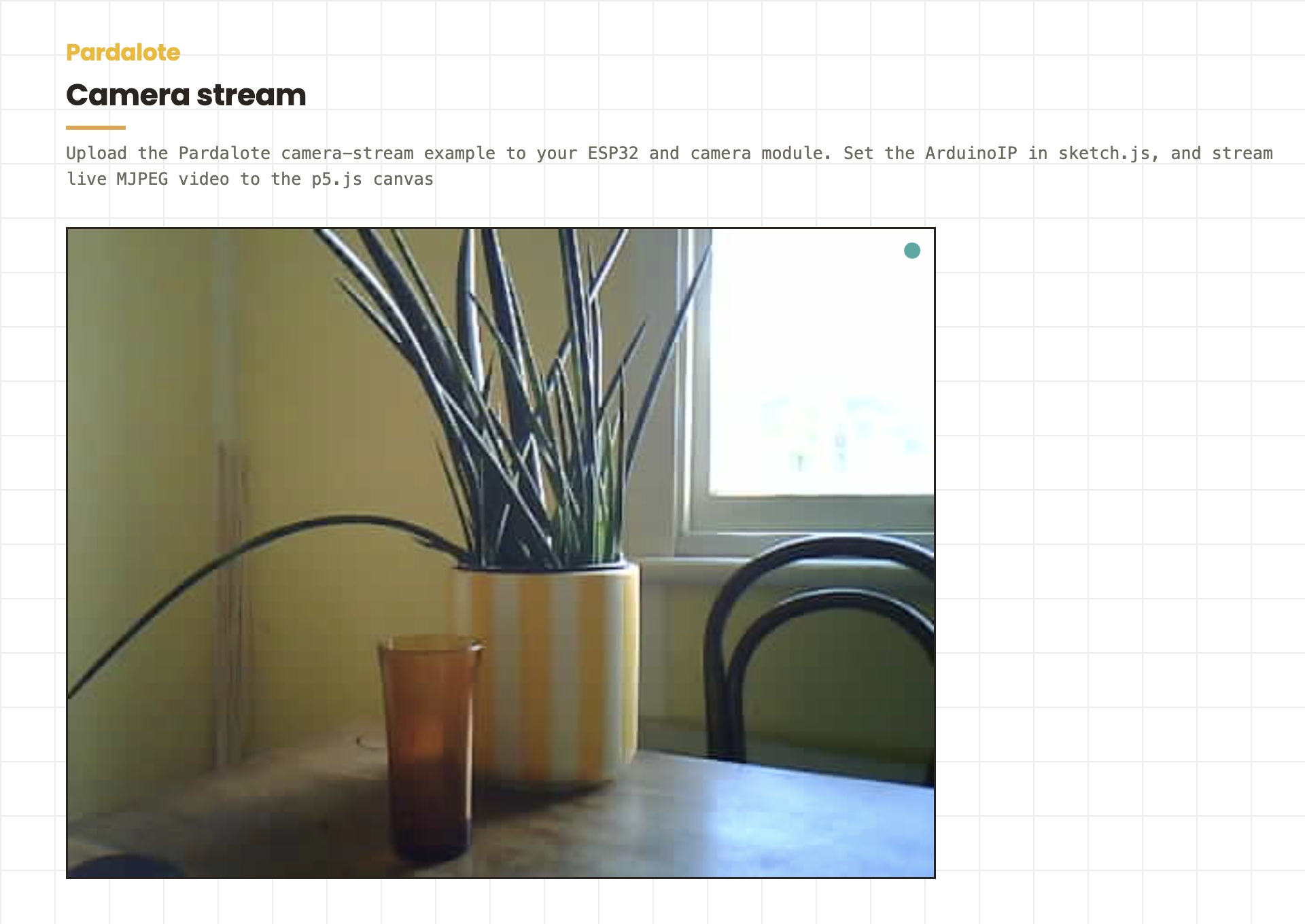 Camera stream — the example running